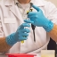 Picture of Gloves, XL, Nitrile, Powder  Free, 8 Mil, Textured, 50/BX