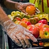 Picture of Glove, Poly, Food Service, Large, Disposable, AMMEX  , 500 EA/ 4 BX (PGLOVE-L-500)